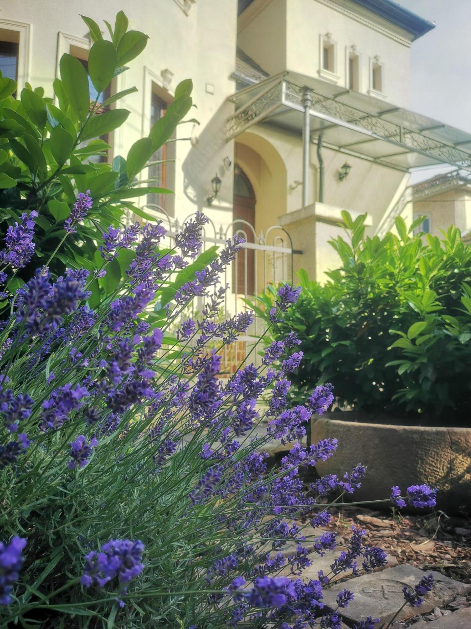 Kuria Apartman Budapest With Free Parking Zewnętrze zdjęcie