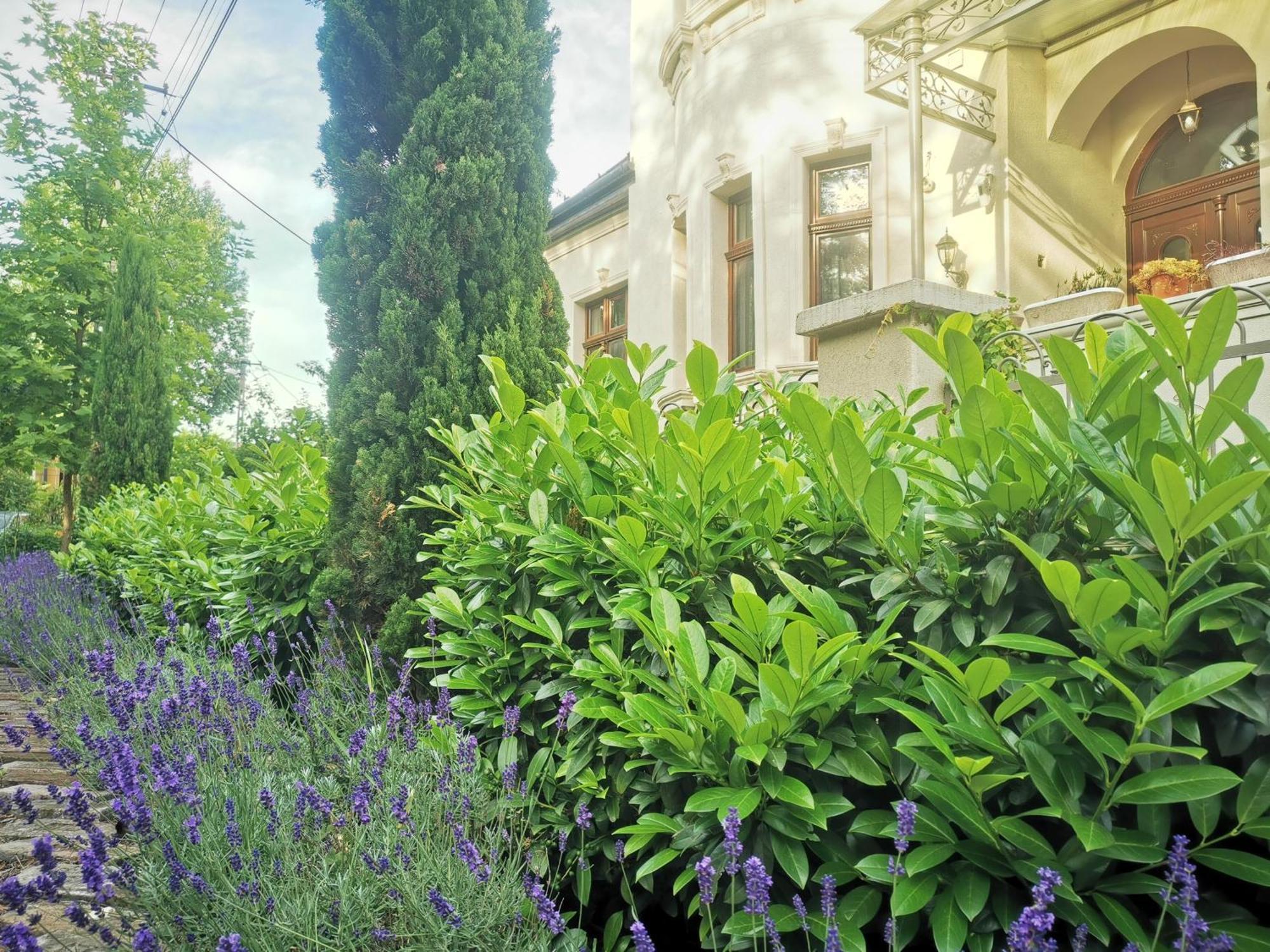 Kuria Apartman Budapest With Free Parking Zewnętrze zdjęcie